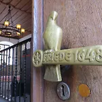Penthouse Backpackers מלון