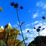 מלון Penthouse Backpackers Osnabrück
