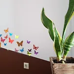 מלון Penthouse Backpackers