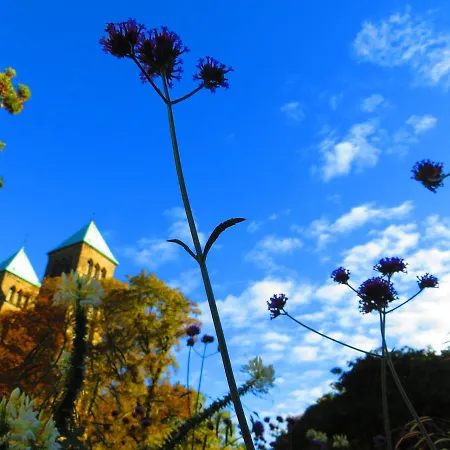 Hotel Penthouse Backpackers Osnabrück