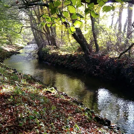 Penthouse Backpackers