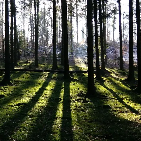 Penthouse Backpackers * Osnabrück