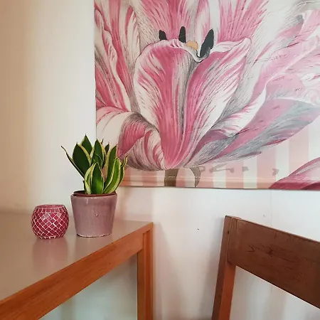Hostel Penthouse Backpackers